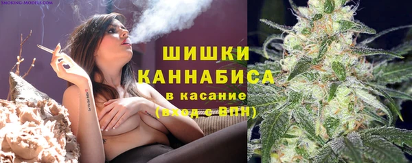 МДПВ Лиски
