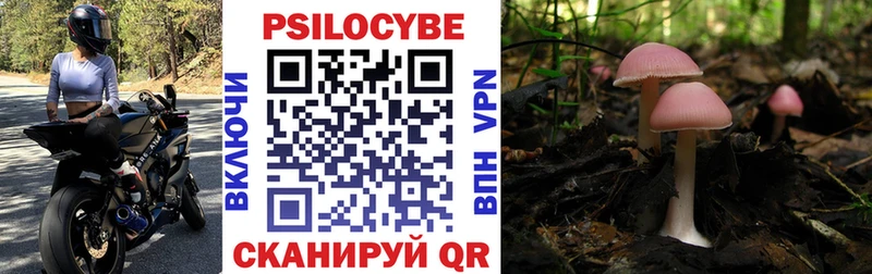 где продают наркотики  Южноуральск  Галлюциногенные грибы Cubensis 